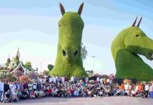 هوتباك تنظم يوماً ترفيهياً لنحو 1,500 من موظفيها في “دبي ميراكل جاردن”
